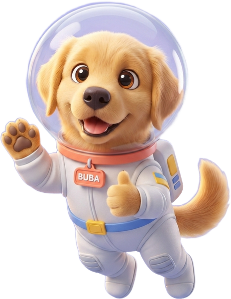 buba.space